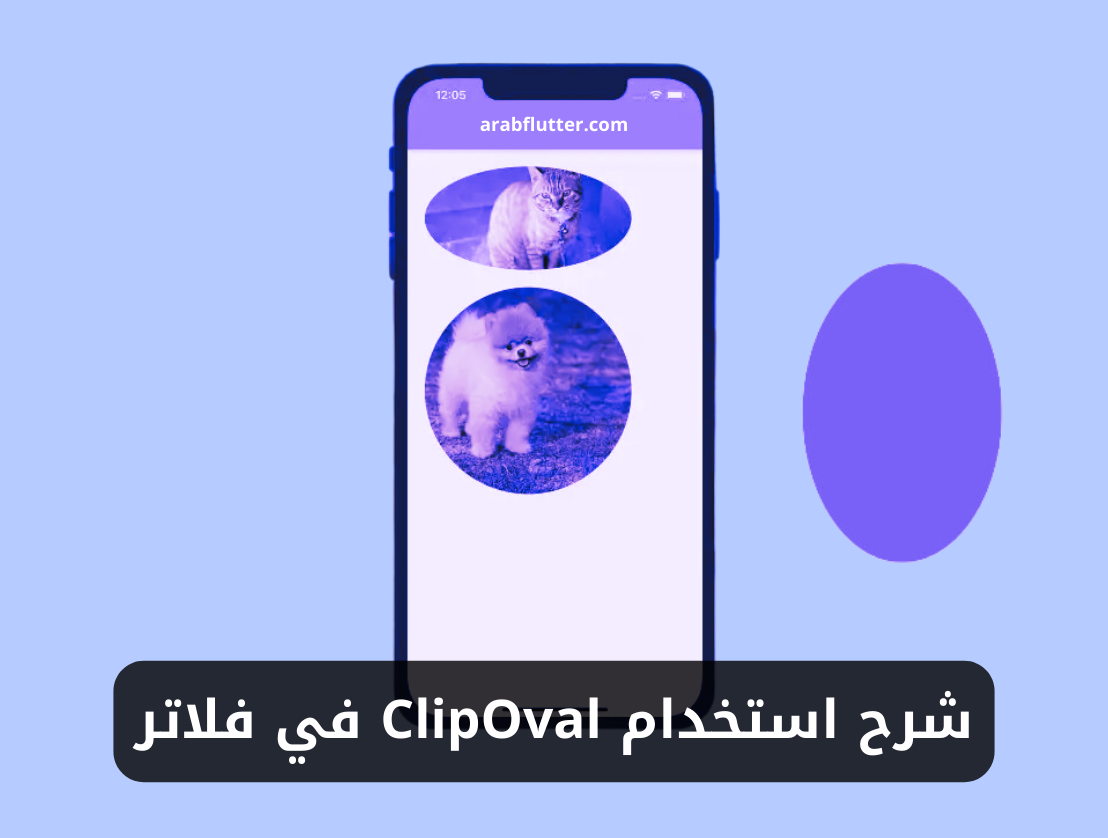 شرح استخدام ويدجت ClipOval في فلاتر