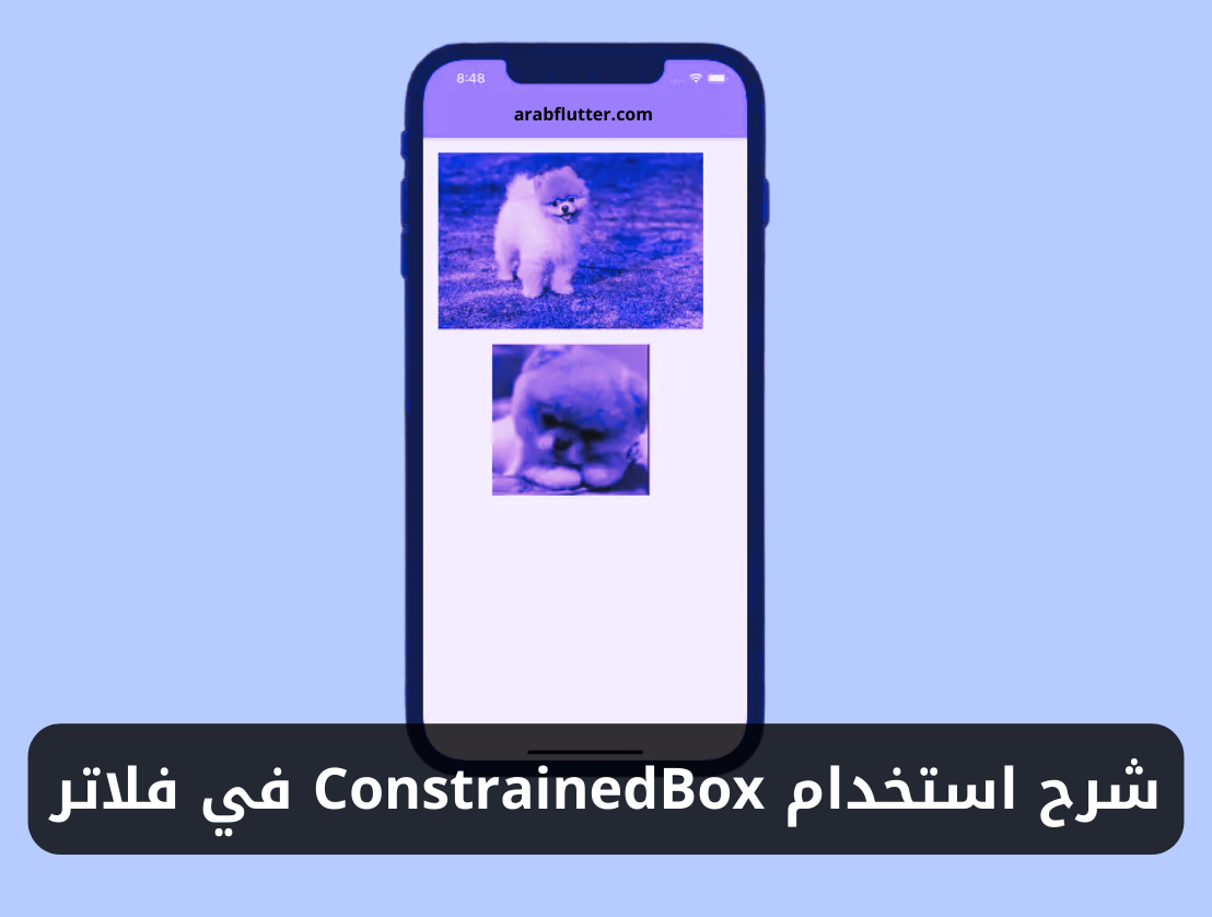 شرح استخدام ويدجت ConstrainedBox في فلاتر